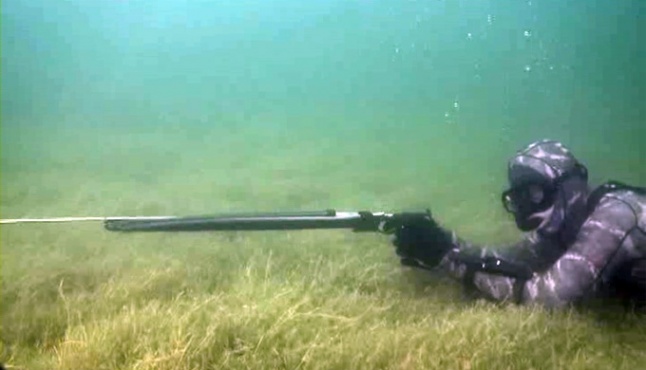 секреты подводной охоты на реке